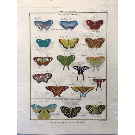Papillons, Plebeyens nobles, Encyclopédie Diderot et d'Alembert, 1770
