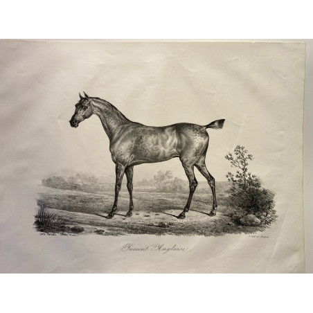 Carle Vernet, la grande suite de chevaux, 1820.