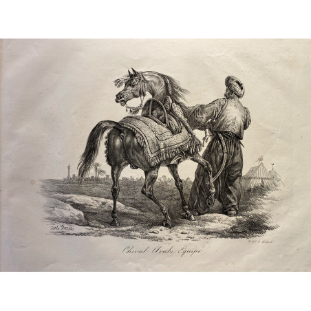 Carle Vernet, la grande suite de chevaux, 1820. Cheval Arabe équipé.