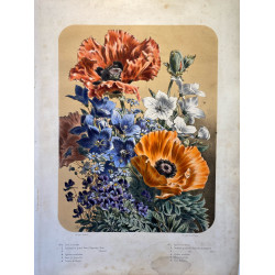Bouquet de fleurs, Elisa CHAMPIN pour Vilmorin et Andrieux, vers 1850-1860. Pavots