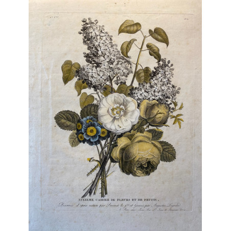 Sixième cahier de Fleurs et fruits, bouquet