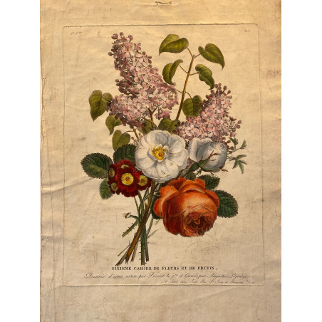 Sixième cahier de fleurs et de fruits, bouquet